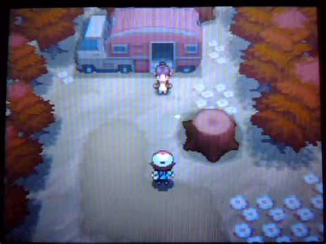 how to get zoroark in pokemon black 2|How do I get the Zoroark that is in Lostlorn Forest.